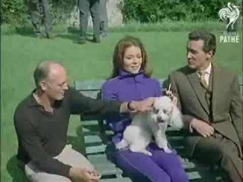 Impossibles - Paint Me A Pretty Picture (1964)