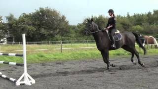 Enrico springtræning 16-09-12