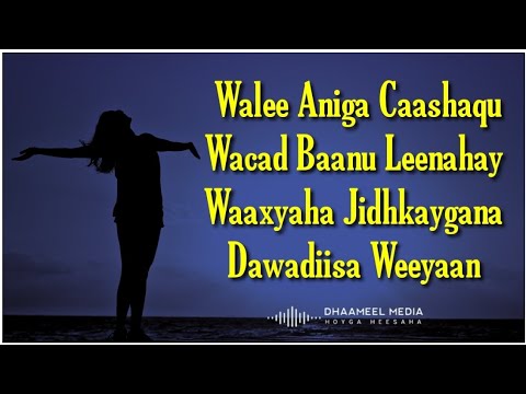 Seynab Cige Heestii _ Walee Aniga Caashaqu _  Hees Qaraami Xul ah With Lyrics