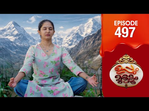 Uppum Mulakum 3 | Flowers | EP #497