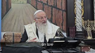 תן שלום במלכות - קידוש השם | הרב שמואל אליהו | הלכה יומית | כ׳ בתמוז תשפ״ה (הרב שמואל אליהו) - התמונה מוצגת ישירות מתוך אתר האינטרנט יוטיוב. זכויות היוצרים בתמונה שייכות ליוצרה. קישור קרדיט למקור התוכן נמצא בתוך דף הסרטון