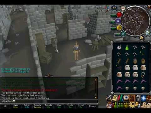 Spirit of Summer Quest Guide xRainbowRS