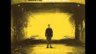 Anodyne - Dubbed Up
