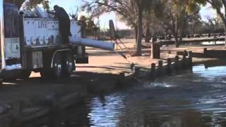 #HALakes Stocking Video  9 Feb 2016 #1