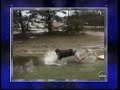 AFV Honorable Mentions Season 14 Episode 18