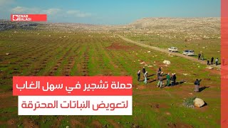 ريف حماة.. حملة تشجير في سهل الغاب لتعويض النباتات المحترقة