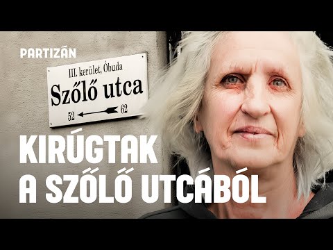 A Szőlő utca végnapjai egy dolgozó szemével