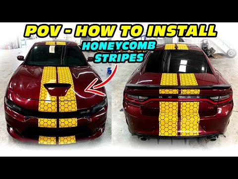 POV 🐝 How to install HONEYCOMB Racing Stripes Dodge Charger SRT