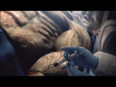 Creation Of Nemesis | Resident Evil 3 (2020)