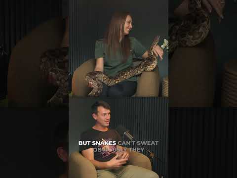 Wait&hellip; Why Do Snakes Look Wet? 🐍👀
