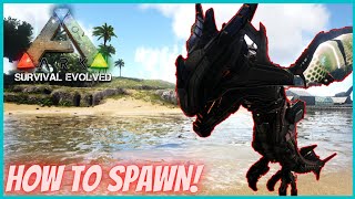 HOW TO SPAWN THE NEW SUMMER BASH CHIBIS!