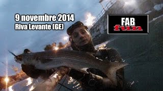 preview picture of video 'Pesca Sub - Liguria, Riva Levante: il tramonto del Cefalosauro - Spearfishing, Chasse sous-marine'