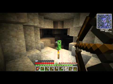 TerraFirmaCraft SMP with Dunk ~ Ep. 8 ~ Lots of Ore
