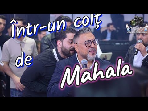 ❎️SORINEL PUSTIU❎️INTR UN COLT DE MAHALA❎️SISTEM 2025❎️BOTEZ AIMEE❎️