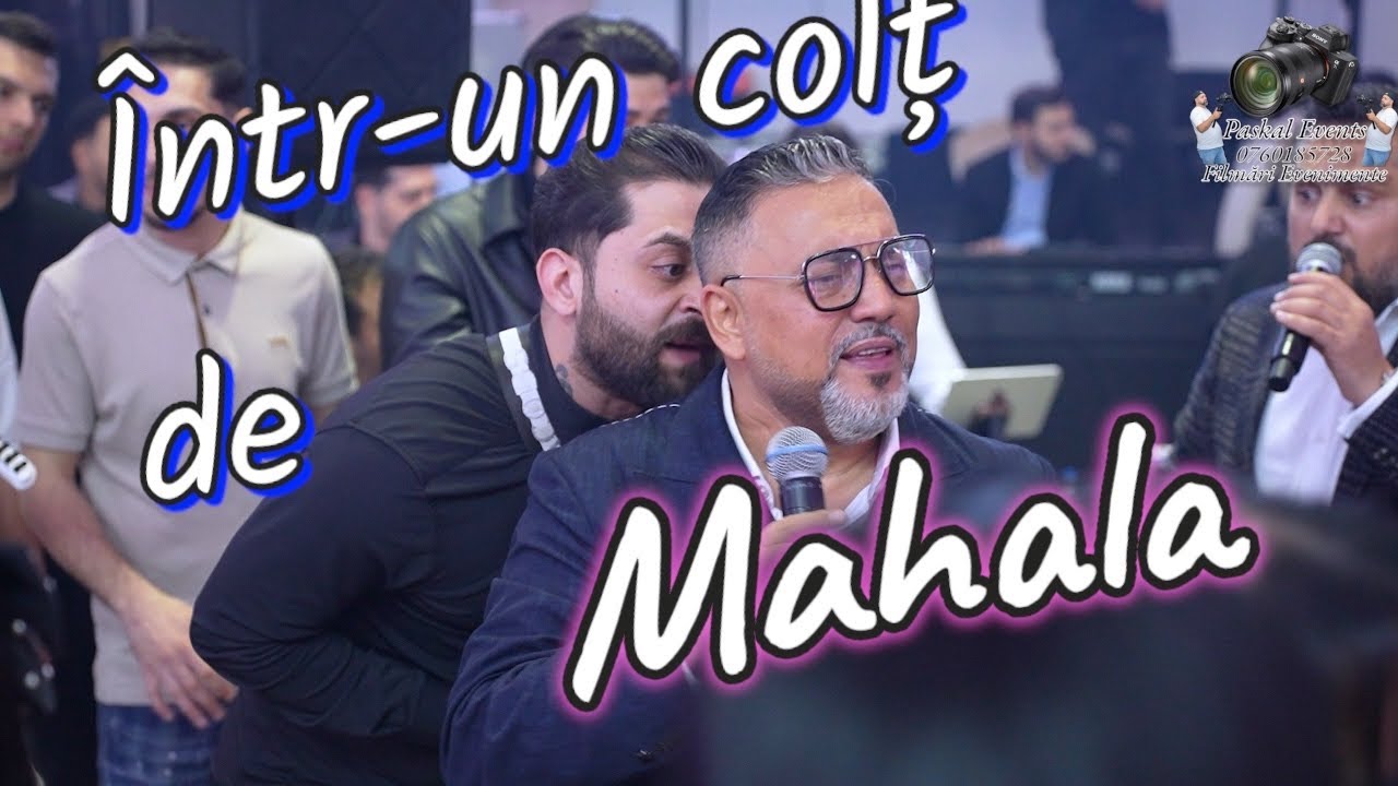 Sorinel Pustiu - ❎️SORINEL PUSTIU❎️INTR UN COLT DE MAHALA❎️SISTEM 2025❎️BOTEZ AIMEE❎️