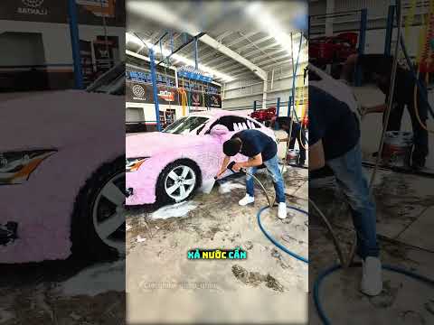 Chiếc Xe Full Lông Khiến Thợ Rửa Xe Nào Cũng Phát Ngán