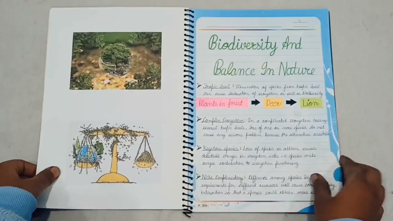Biodiversity and its conservation class 12#projectfiledecorationidea #investigatory project #biology