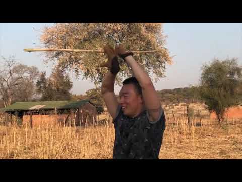 FALL 2018 // Zimbabwe · South Africa · Portugal · China