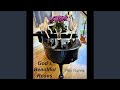 God's Beautiful Roses