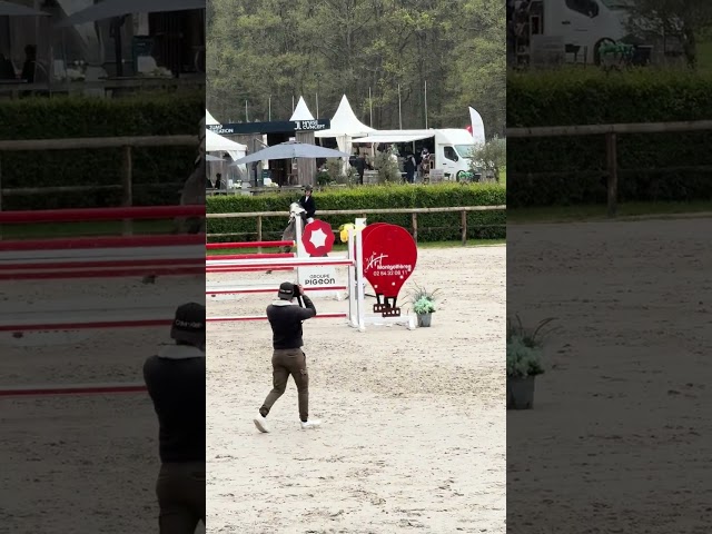 Castrone Origine non conosciuta  In vendita 2019 Altro colore ,  Cyrhus Paradise, SFA