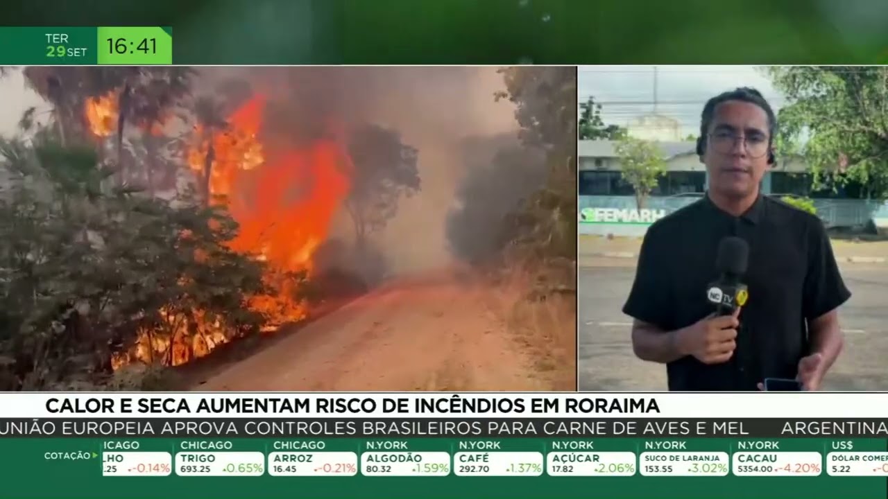 Calor e seca aumentam risco de incêndios em Roraima