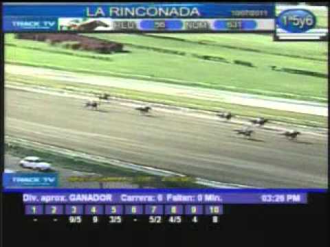 Domingo, 10 de Julio de 2011 - La Rinconada