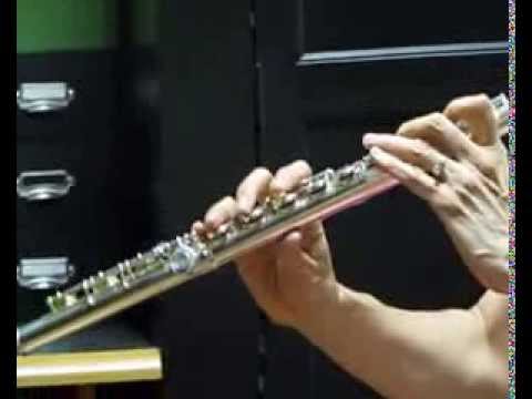 Yamaha 385II (381) Flute For Sale (Used) - High Register Demo