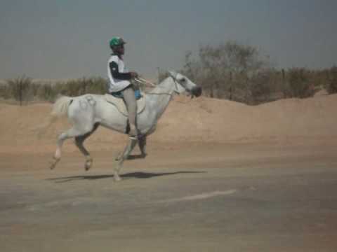 Ultima etapa 160 kms