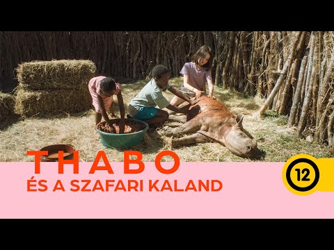Thabo és a szafari kaland trailer