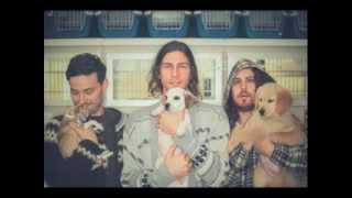 A Haunting - Dale Earnhardt Jr. Jr.