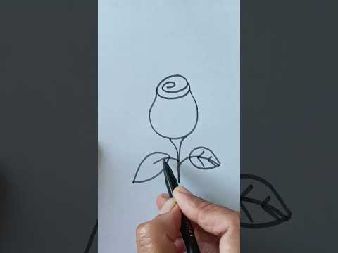 how to draw beautiful and easy rose 🌹