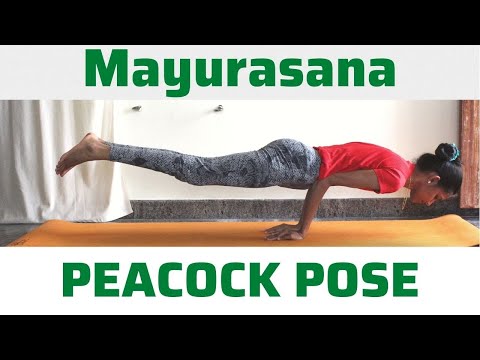 How to do Step By Step Mayurasana for Beginners | Peacock Pose | Hamsa Yoga