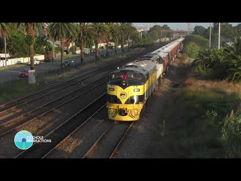 Diesel Locomotives GM27 & VL355 - Empty Grain Wagons - March 2017