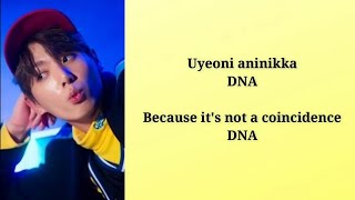 Download lagu BTS (방탄소년단) - DNA (Lyrics Rom/Eng) mp3