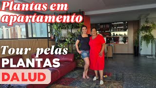 PLANTAS EM APTO.: CONHECENDO O LINDO JARDIM NO APÊ DA LUDMILA EM BH | FOLHAGENS, ORQUÍDEAS E MAIS
