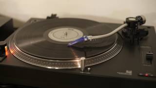 Ty Segall - Take Care (To Comb Your Hair) - vinyl