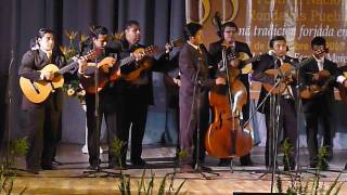 ERIC MEDRANO -RONDALLA TEOHUCÁN -CONCURSO CIELITO LINDO