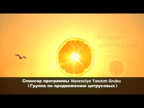 Turkish Citrus / Mediterranean Sun - Турецкие Цитрусовые / Солнца Средиземное море