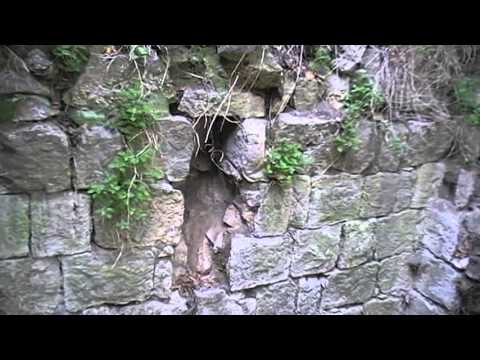 Torre di Bofo - Orte