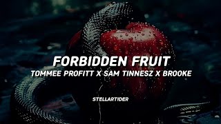 Download lagu Tommee Profitt x Sam Tinnesz x brooke - FORBIDDEN FRUIT (Lyrics) mp3 Download lagu Tommee Profitt x Sam Tinnesz x brooke - FORBIDDEN FRUIT (Lyrics) mp3