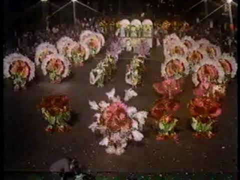 1987 Hibiscus Dudes & Their Hothouse Beauties  (Golden Crown Fancy Brigade)
