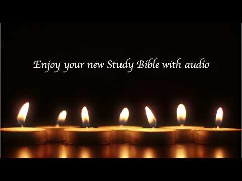 Study Bible