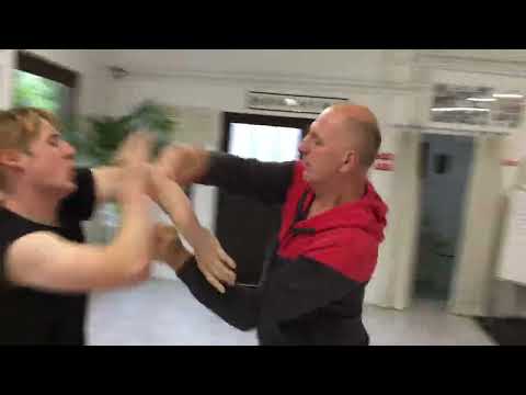 WCVD Akademie Pfungstadt der bildenden Kampfkünste