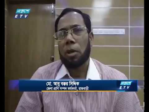 কুকুরের উৎপাতে অতিষ্ঠ রাজবাড়ীর বাসিন্দারা
