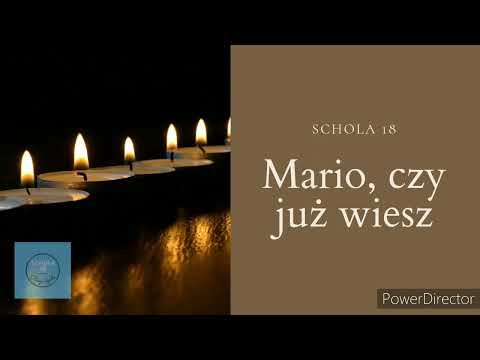 Schola 18 - Mario, czy Ty wiesz