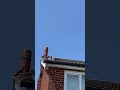 We can pigeon proof your solar panels and STOP pigeons form nesting under the panels causing problems.  Contact us here today for a FREE Quote