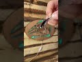 Video Thumbnail for Best Walleye Jigging Rapala Lure