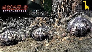 【バイオハザード アンブレラクロニクルズ】字幕実況#10 洋館事件 ジル CP2-1 BIOHAZARD CHRONICLES HD SELECTION PS3