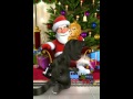 Talking Ginger Meets Santa Glitch