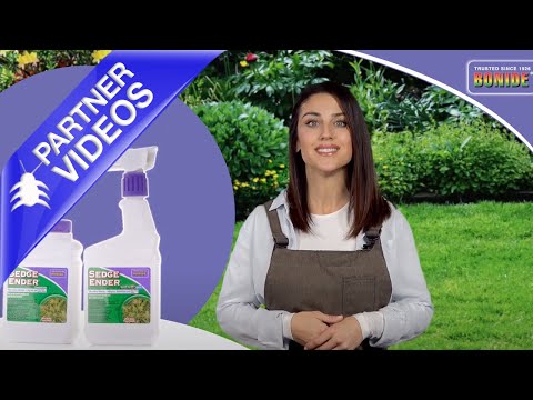  Bonide Sedge Ender Concentrate Video 